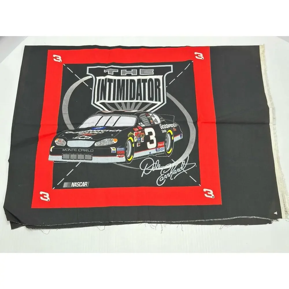VTG‎ NEW FABRIC PILLOW PANEL NASCAR DALE EARNHARDT JR #8 4 SQUARES 2003